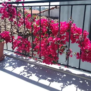Casa Magnolia Boutique Hotell